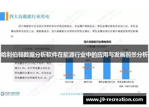 哈利伯顿数据分析软件在能源行业中的应用与发展前景分析